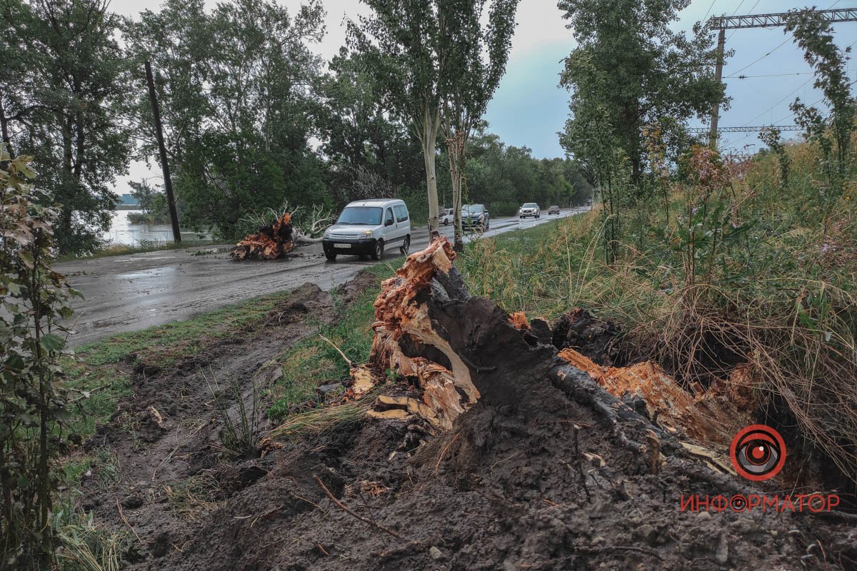 Автомобілі проїжджають Автомобілі проїжджають