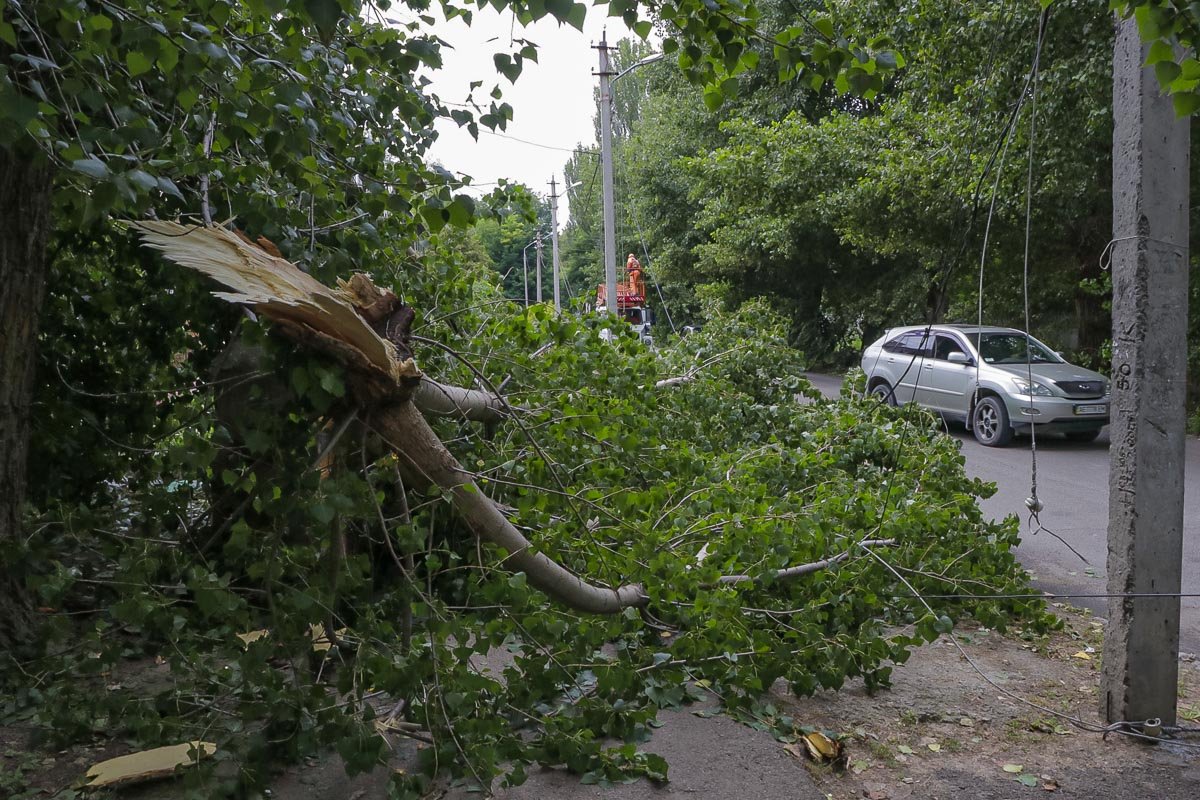 На вулиці Павла Чубинського гілка впала та обірвала електричний кабель