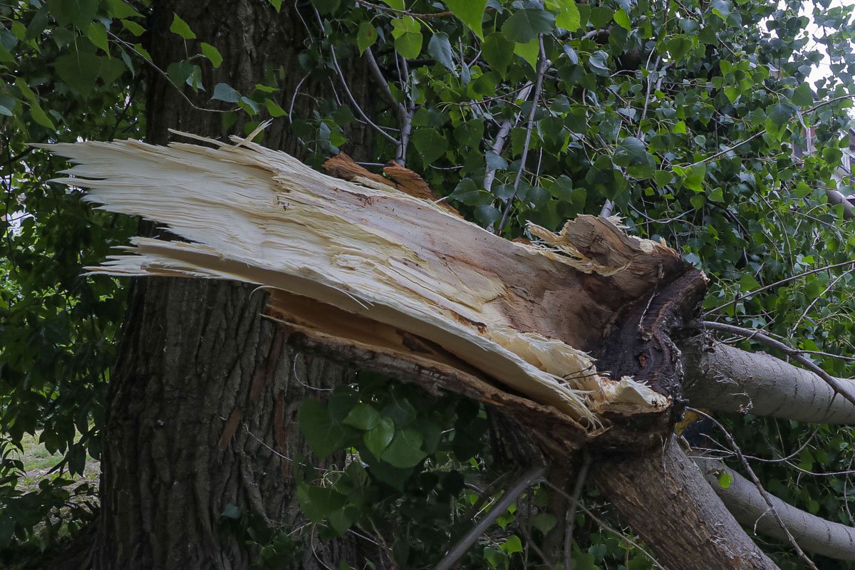 Інцидент трапився близько 12:00