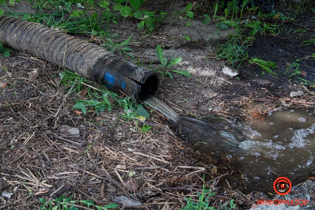 Фото: Владислав Степанов