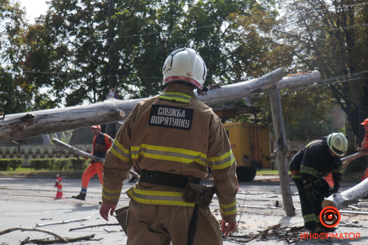 Служба порятунку на місці Служба порятунку на місці