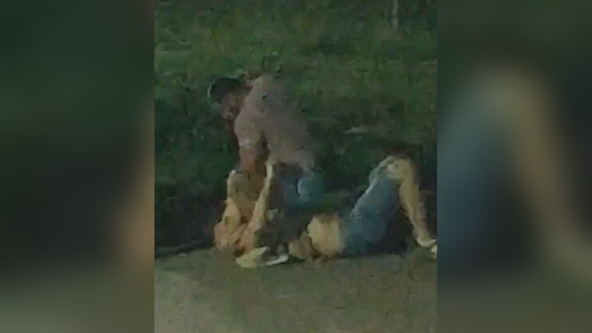 В Днепре мужчина брызнул в собаку из баллончика и порезал ножом ее хозяина: видео