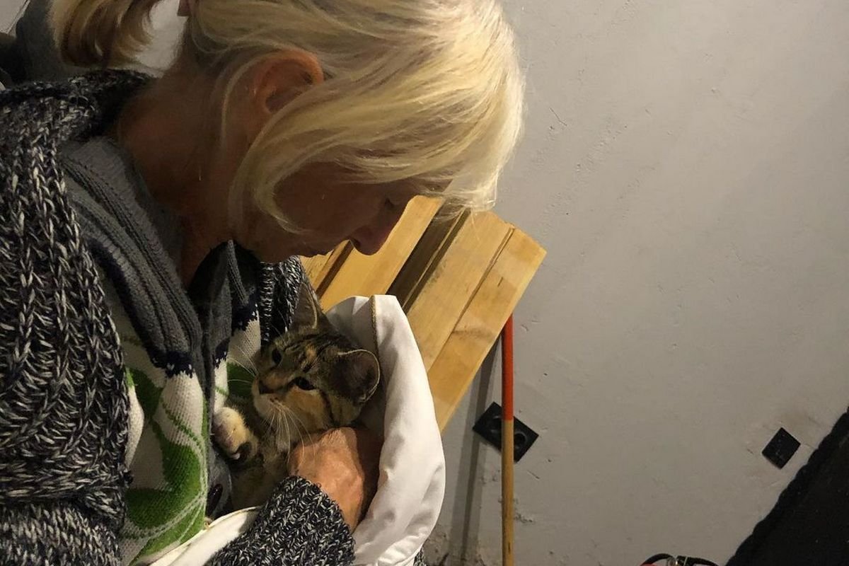 Власники приводять до тями всю худобу Власники приводять до тями всю худобу