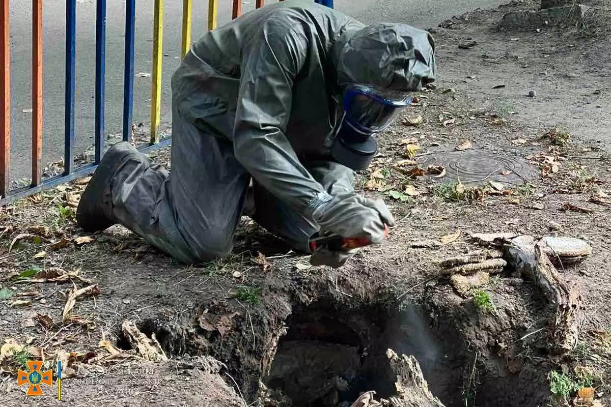 У Дніпрі на дитячому майданчику знайшли гніздо ос
