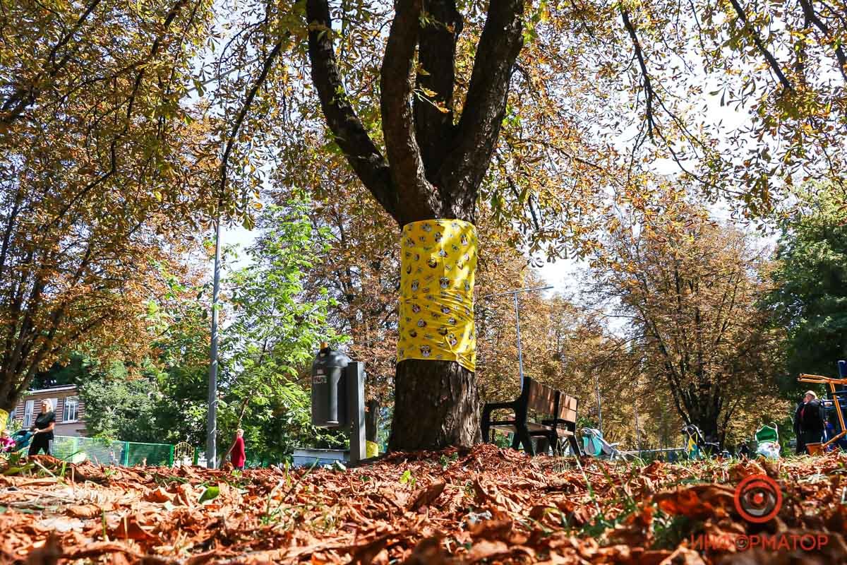  На них зображений дитячий герой з мультсеріалу “Губка Боб Квадратні Штани”