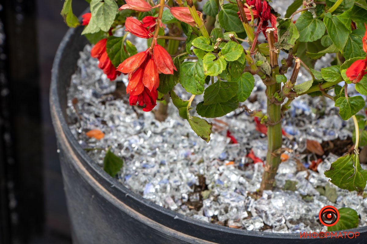 Навіть, у напівпідвальному приміщенні Навіть, у напівпідвальному приміщенні