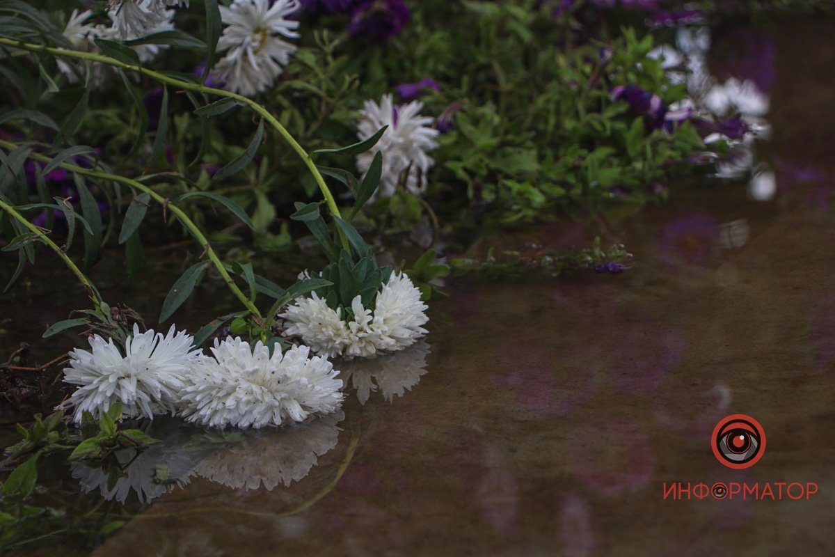 Проти природи