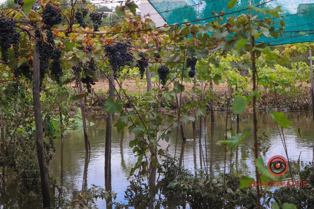 "Воду ви не зупините, як би ви не барикадувалися": жителі Кривого Рогу про наслідки затоплення після ракетного удару 9