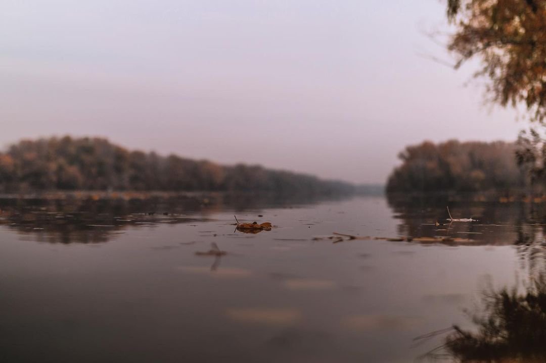 Фото: hamster_serg