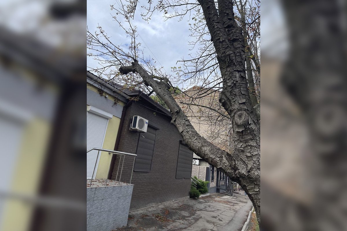 На вулиці Королена На вулиці Королена