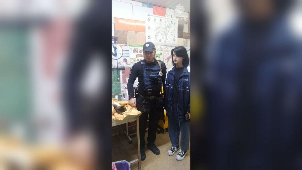 У Дніпрі поліцейські допомогли кішці, яку збила машина