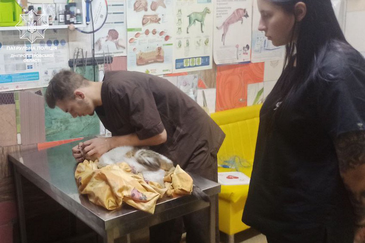 Копи відвезли її у ветклініку