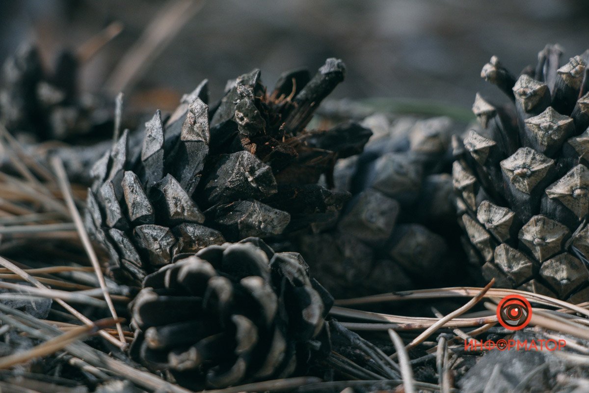 Готуймось до зими Готуймось до зими