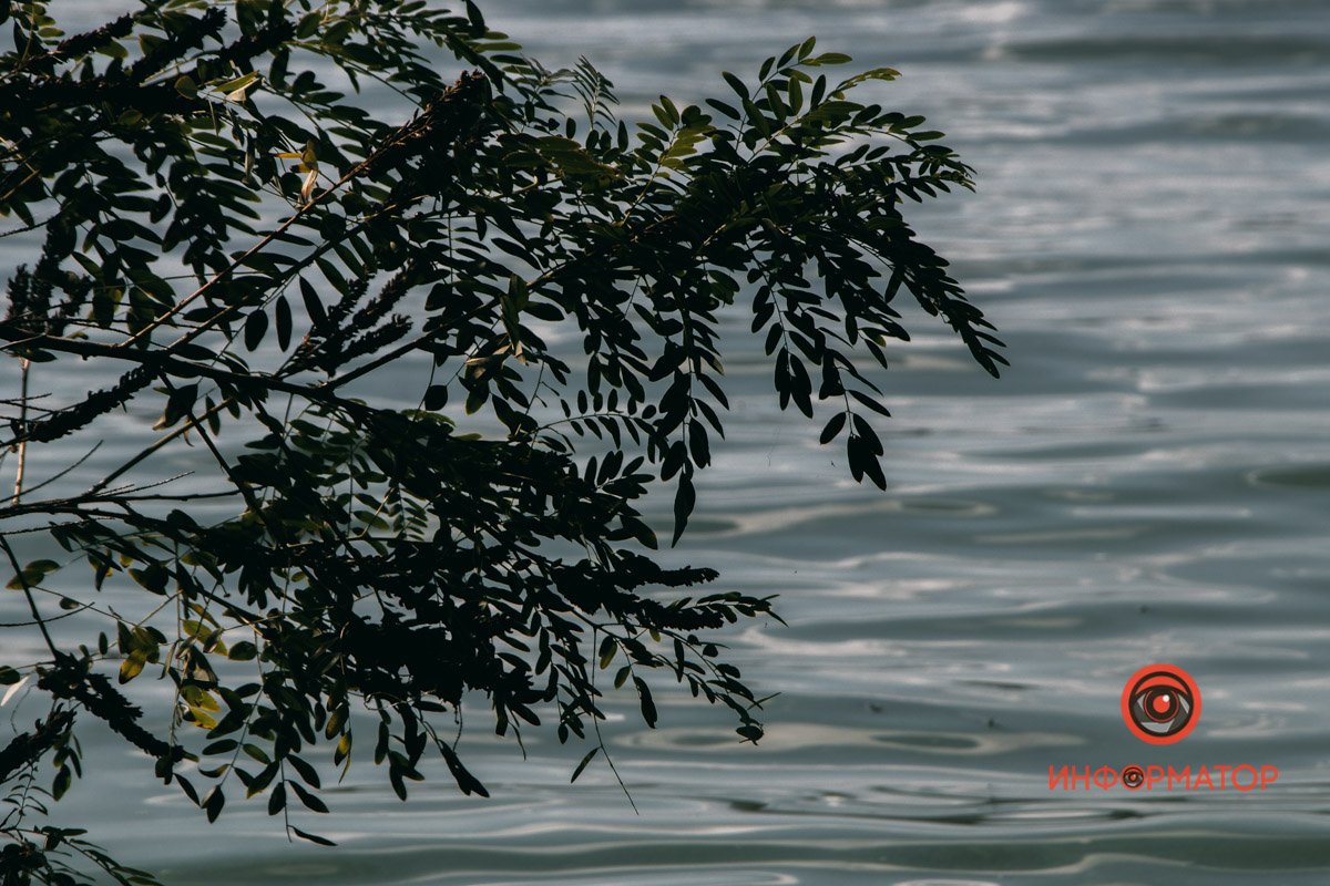 Похилилась над водою Похилилась над водою