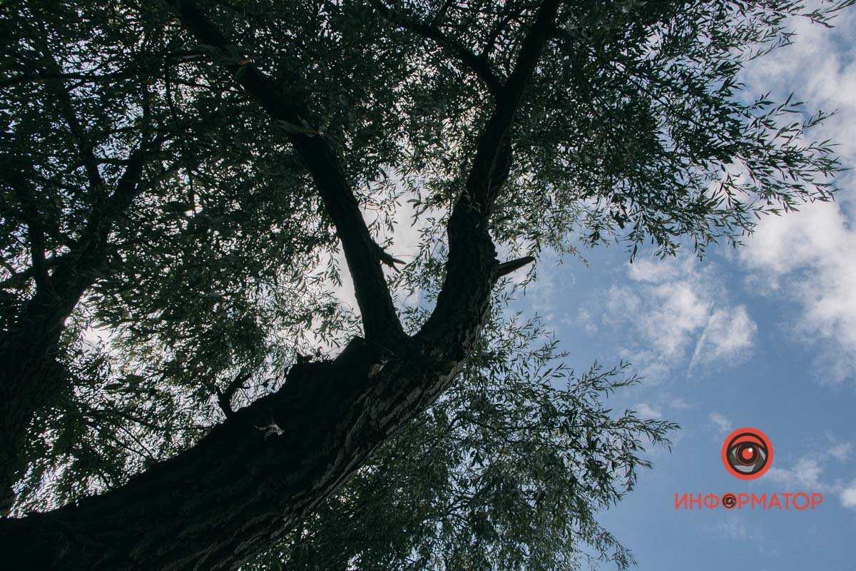 Аж голова поморочиться Аж голова поморочиться