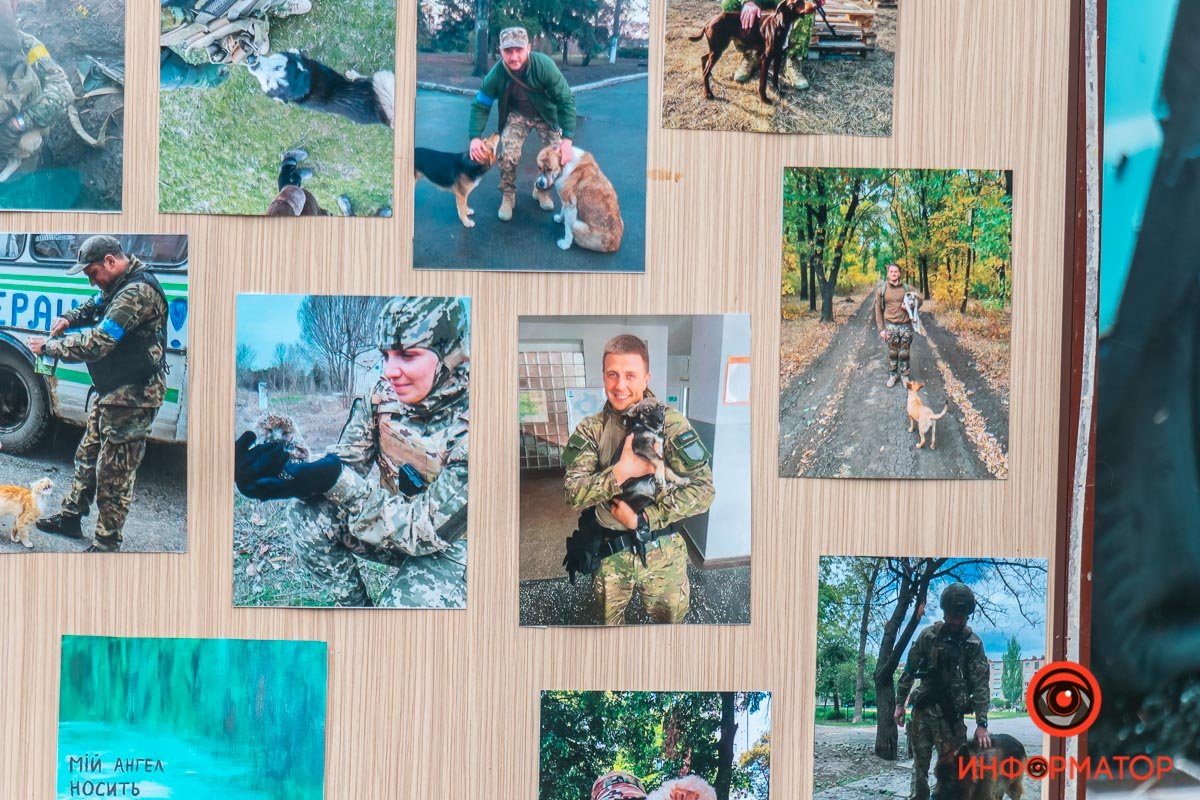 Така виставка в місті проходить вперше та вже знайшла своїх прихильників Така виставка в місті проходить вперше та вже знайшла своїх прихильників
