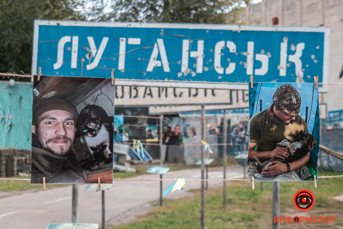 Пси відчувають майбутні обстріли Пси відчувають майбутні обстріли