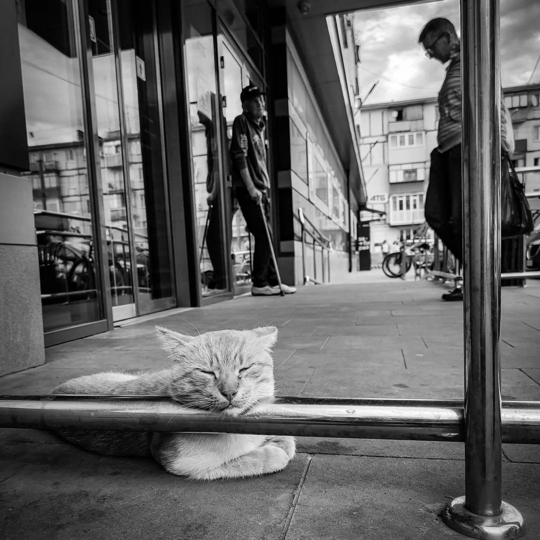 Фото: @tertyart