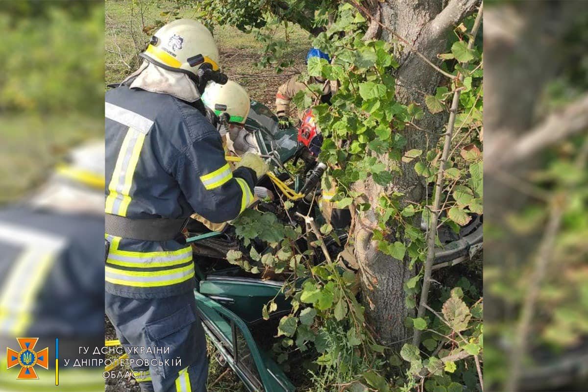 У селищі Малософіївка Кам’янського району ВАЗ врізався у дерево