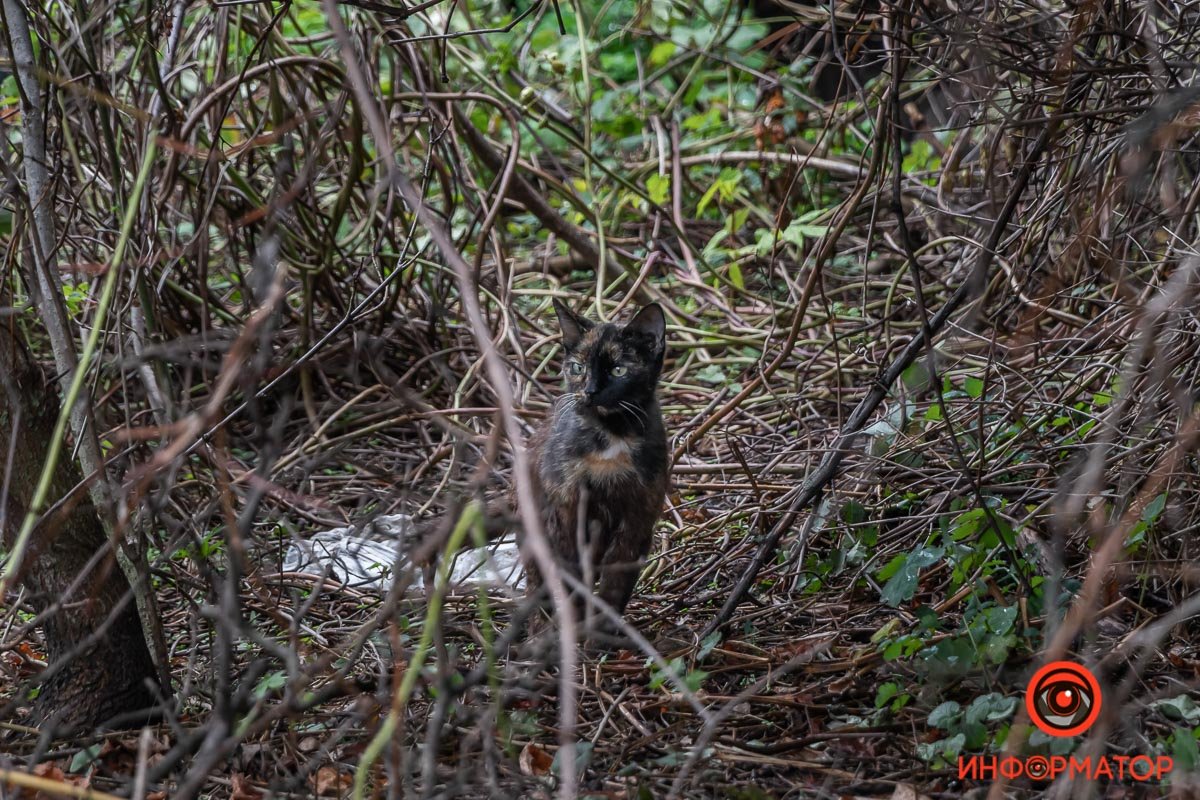 Дотримуйтесь всіх правил пожежної безпеки