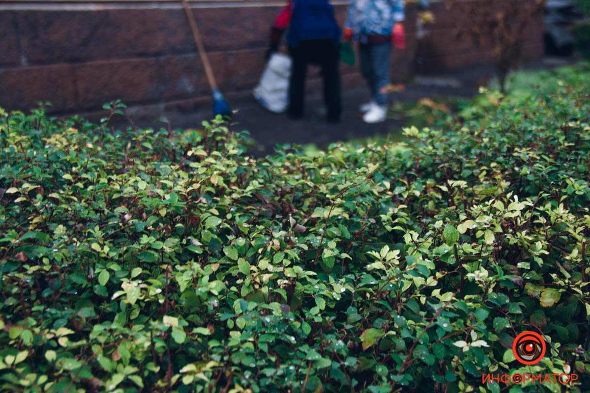 Відаранку йде прибирання території Відаранку йде прибирання території