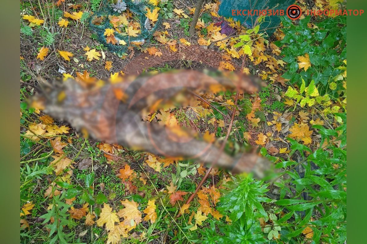 У Дніпрі на Березинській знайшли об'їдений труп 1