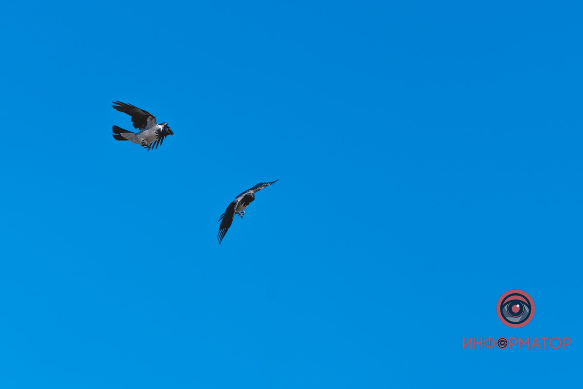 Клааасні Клааасні