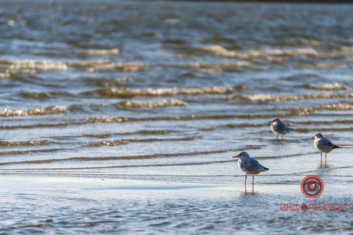 З братанами З братанами