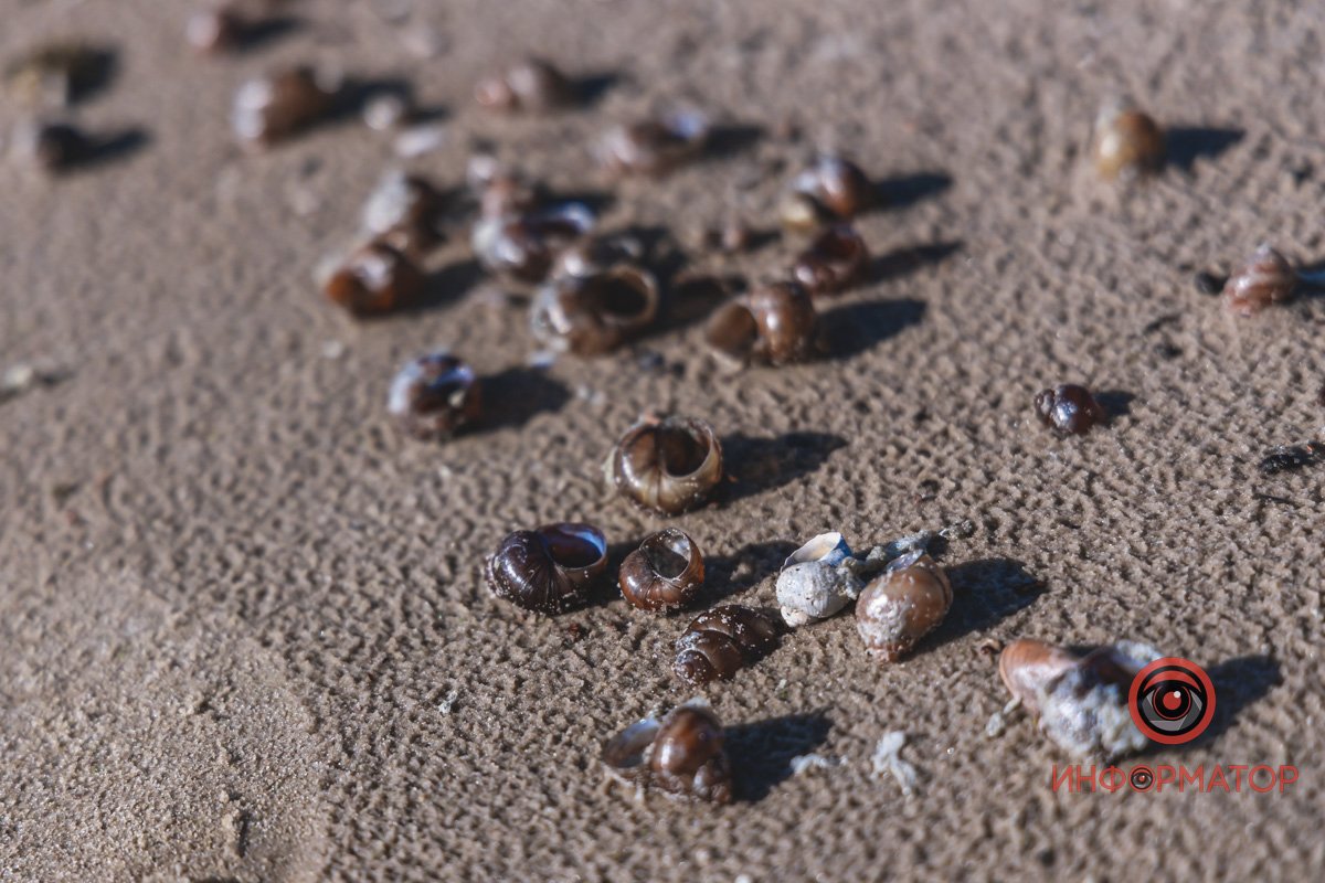 Сумуємо за літом Сумуємо за літом