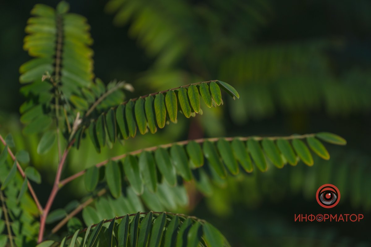 Осінь вже надворі Осінь вже надворі