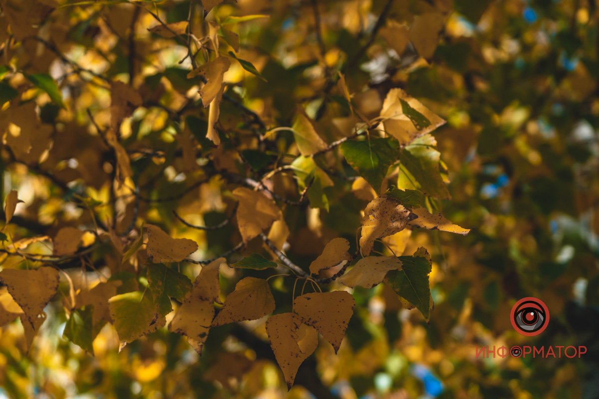 Більше кольорів Більше кольорів