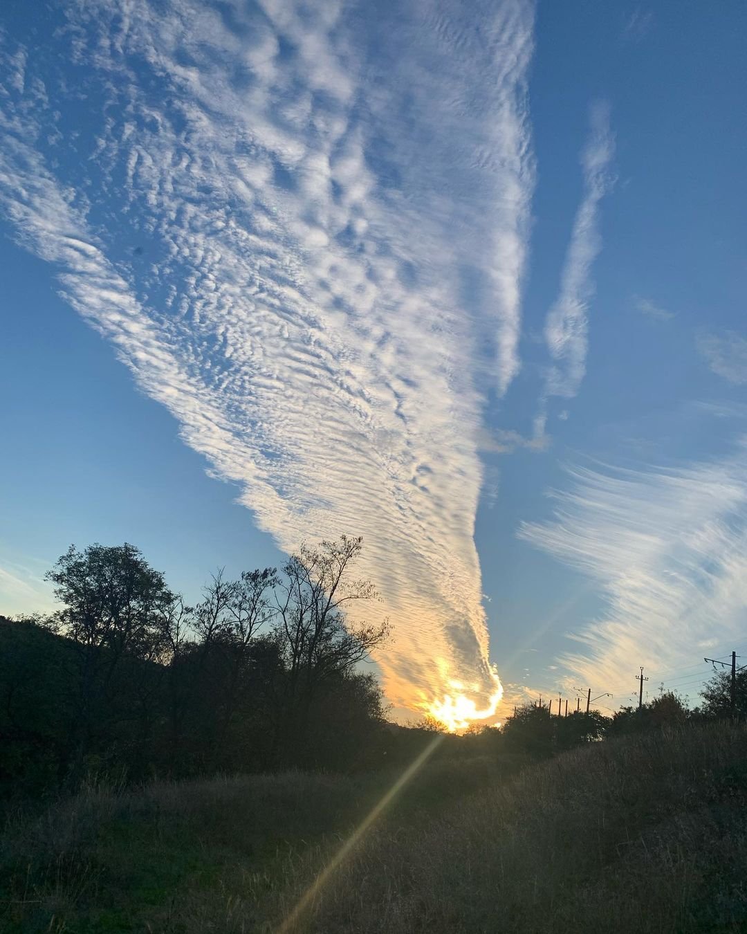 @dreampampusya @dreampampusya