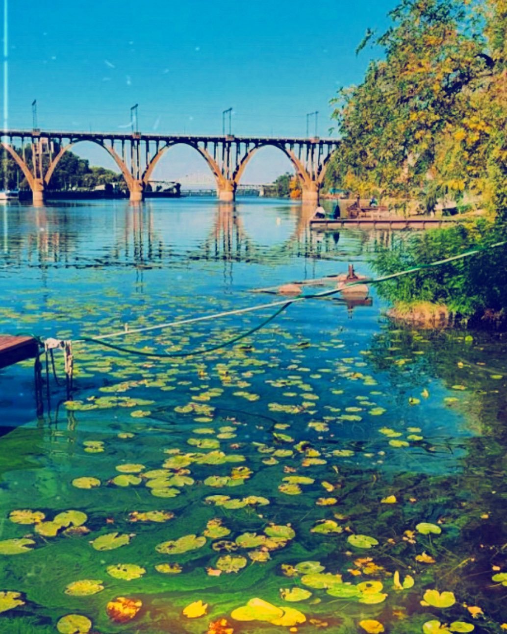 @19lady_queen91 @19lady_queen91