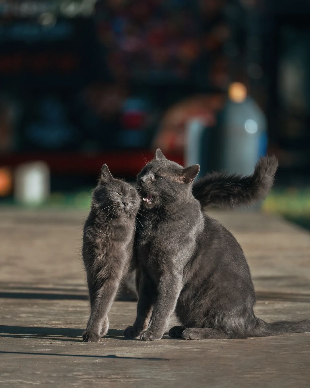 @deniska_ua @deniska_ua