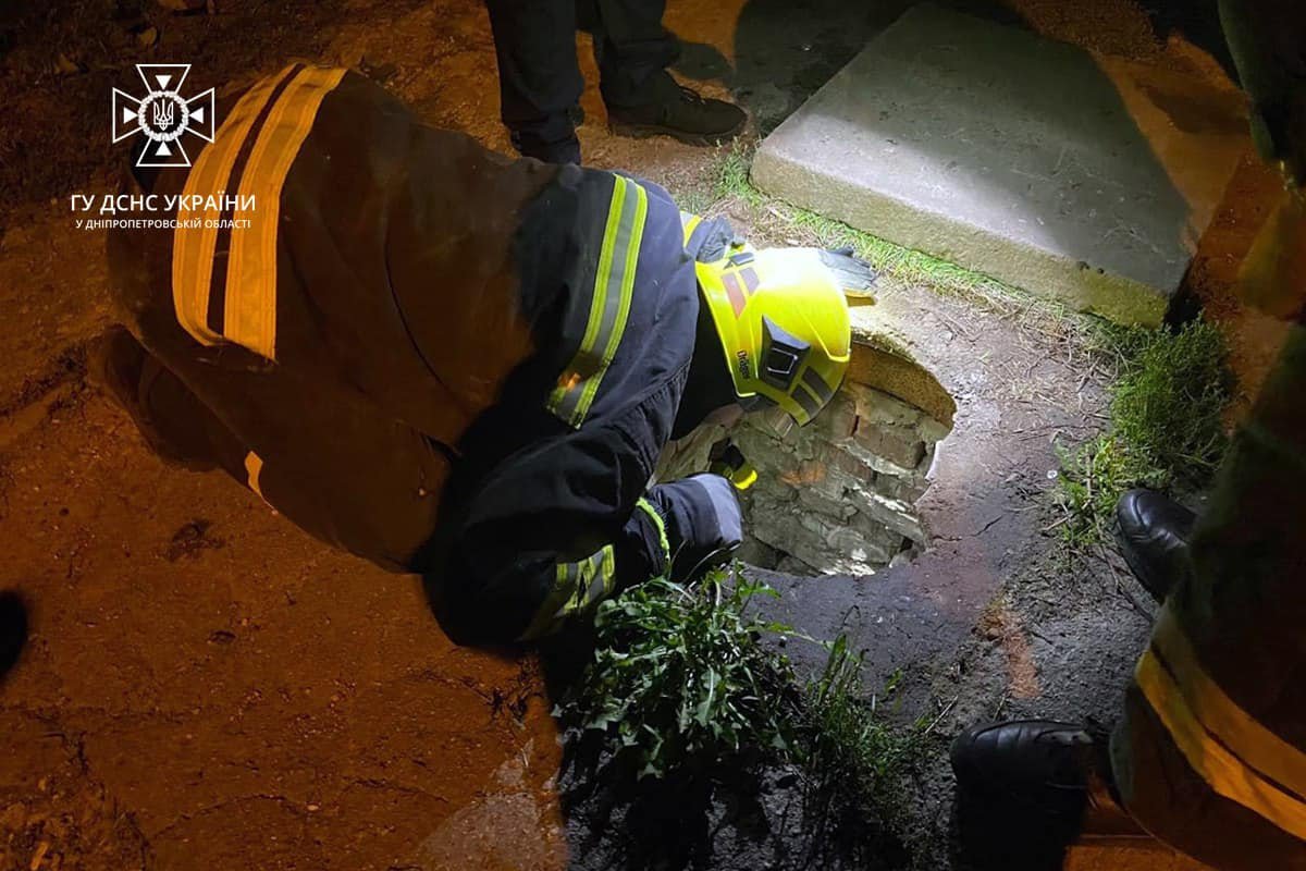 На вулиці Гладкова жінка гуляла зі своїм собакою