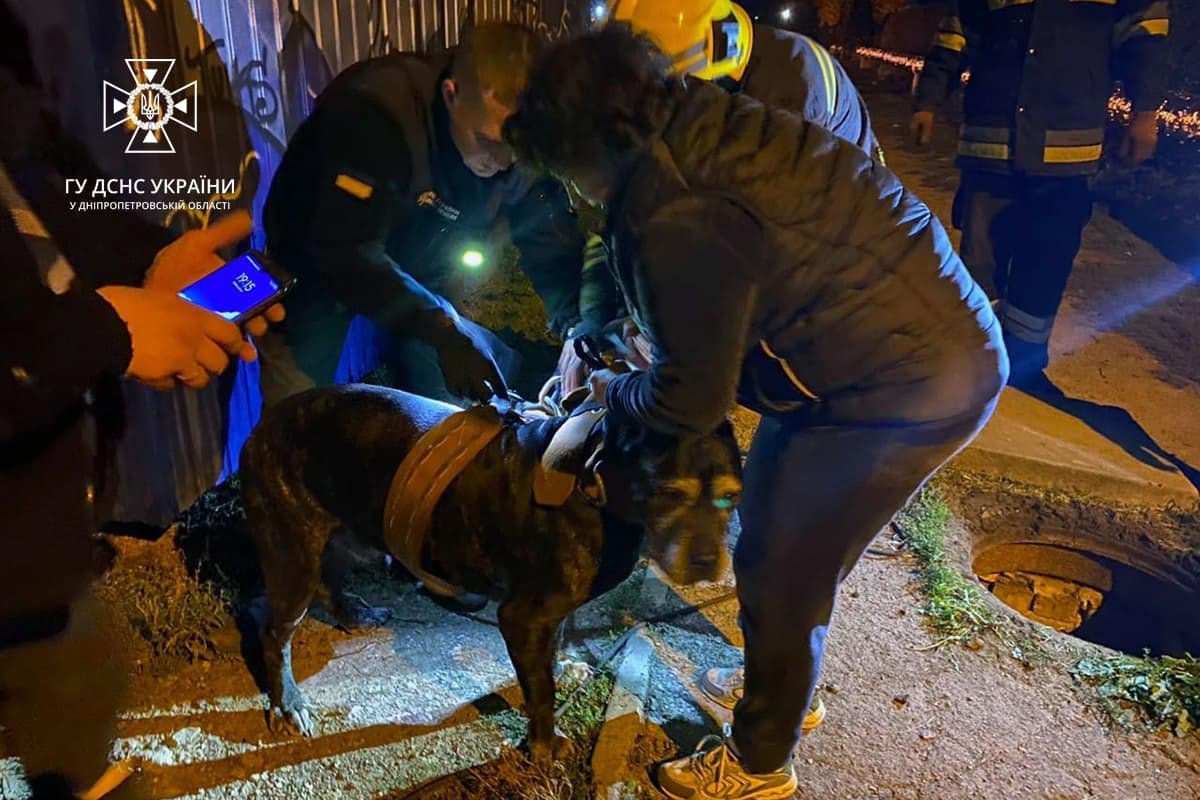 Під час прогулянки він впав у каналізаційний колодязь