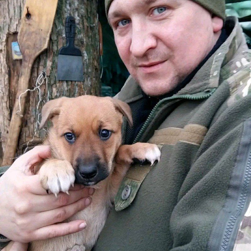 Справжній захисник