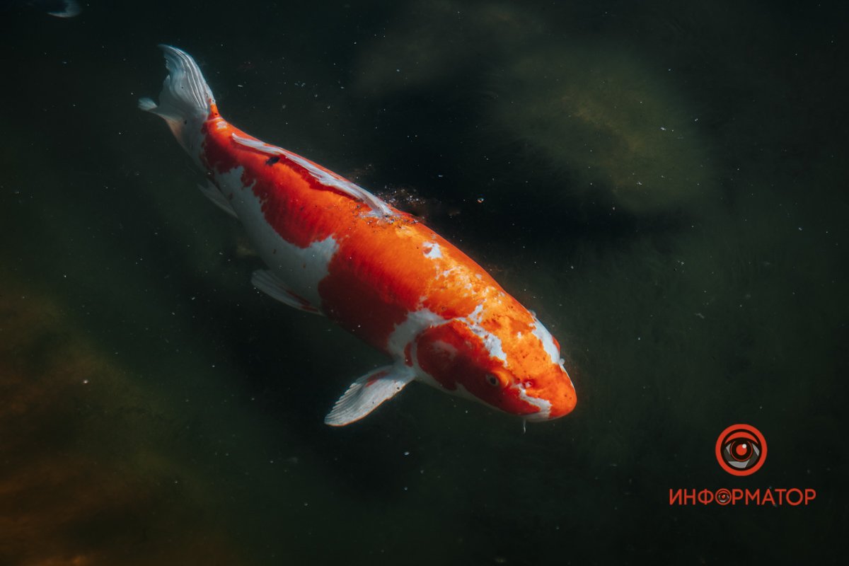 Бажання закінчились Бажання закінчились