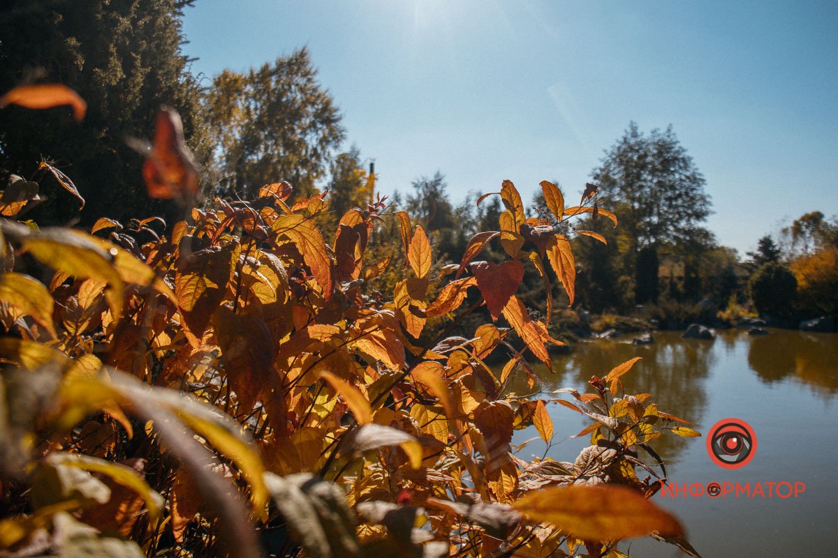 Вже відчувається осінь Вже відчувається осінь