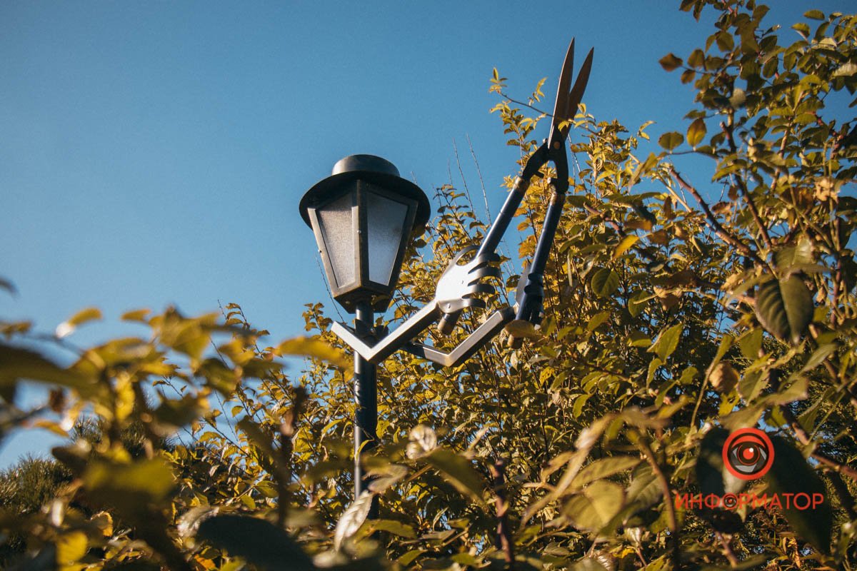 Цікавий садівник Цікавий садівник