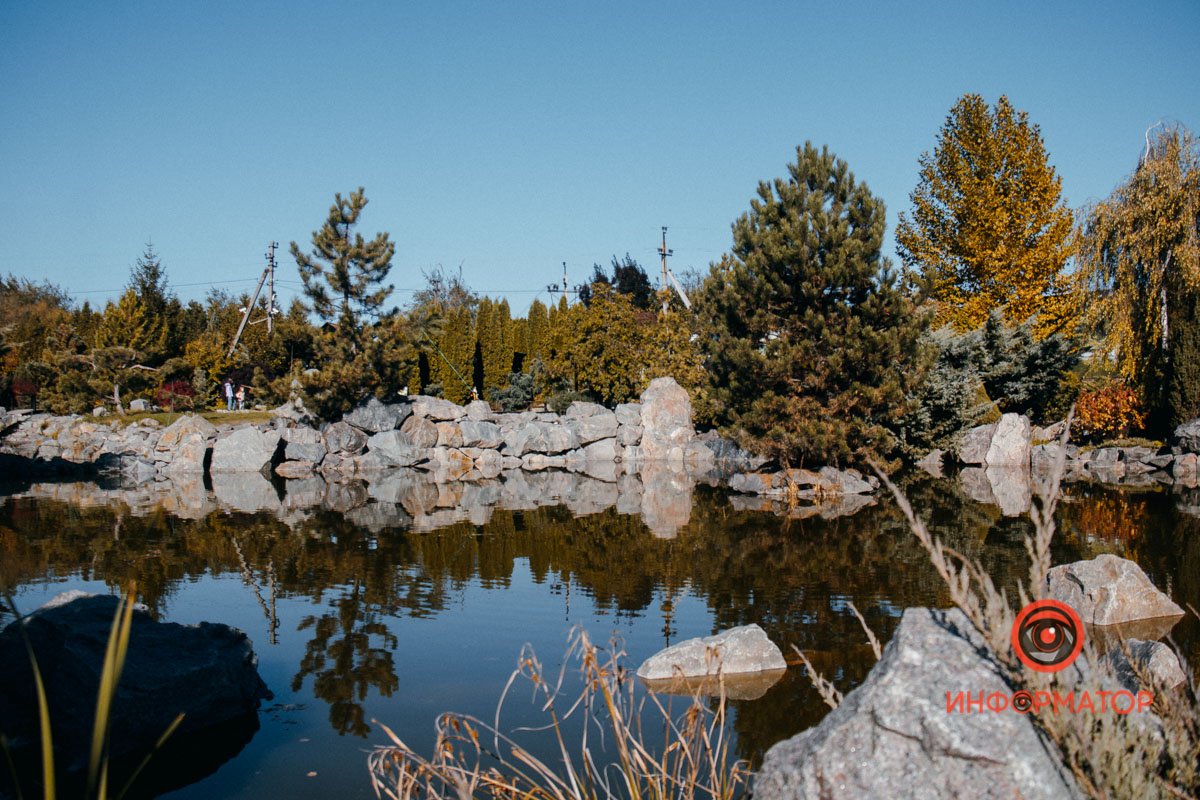 Прогулянка Прогулянка