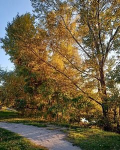 @the.allexey @the.allexey