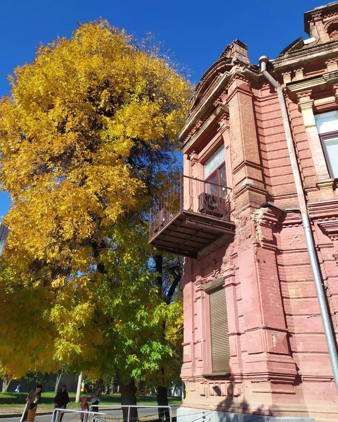 @oelena0611 @oelena0611