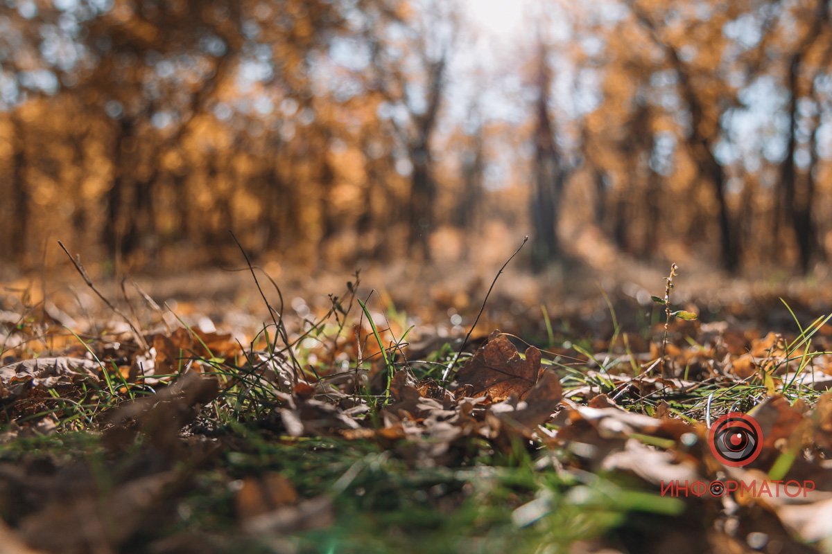 Останні теплі дні Останні теплі дні