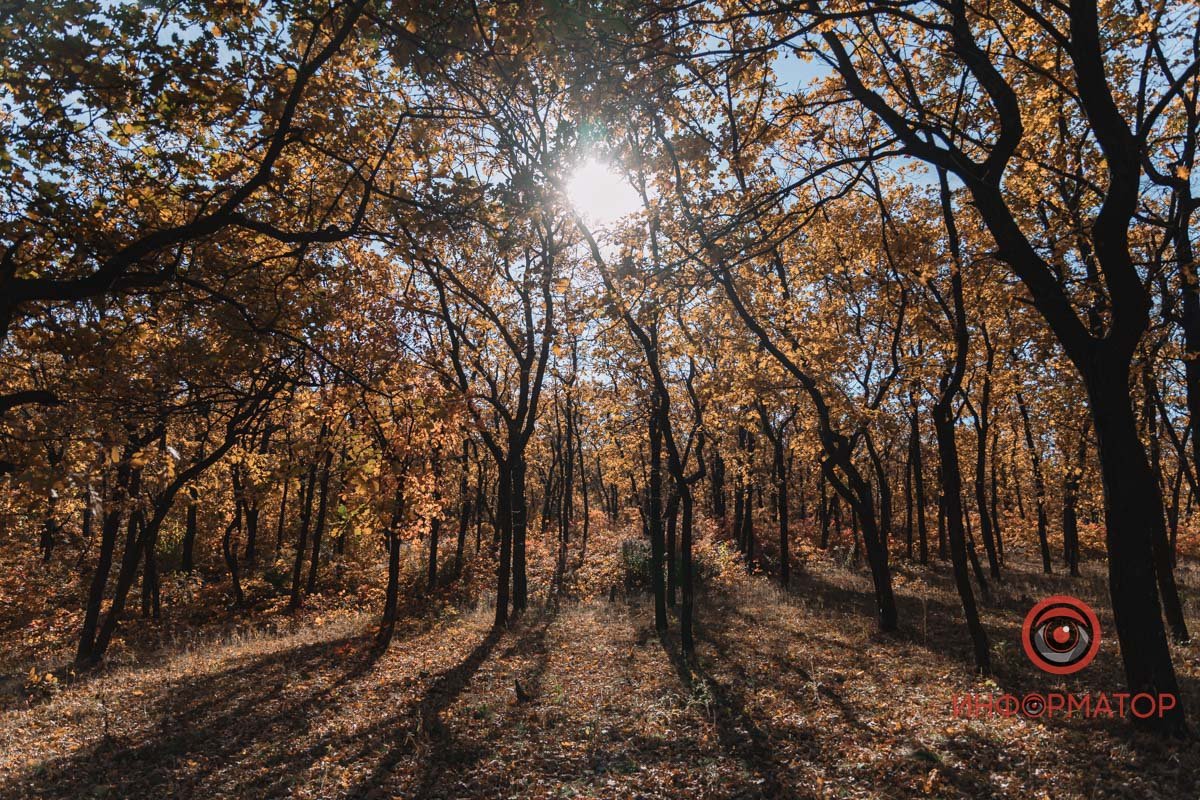 Денис Чубченко — найкращий фотограф міста Денис Чубченко — найкращий фотограф міста