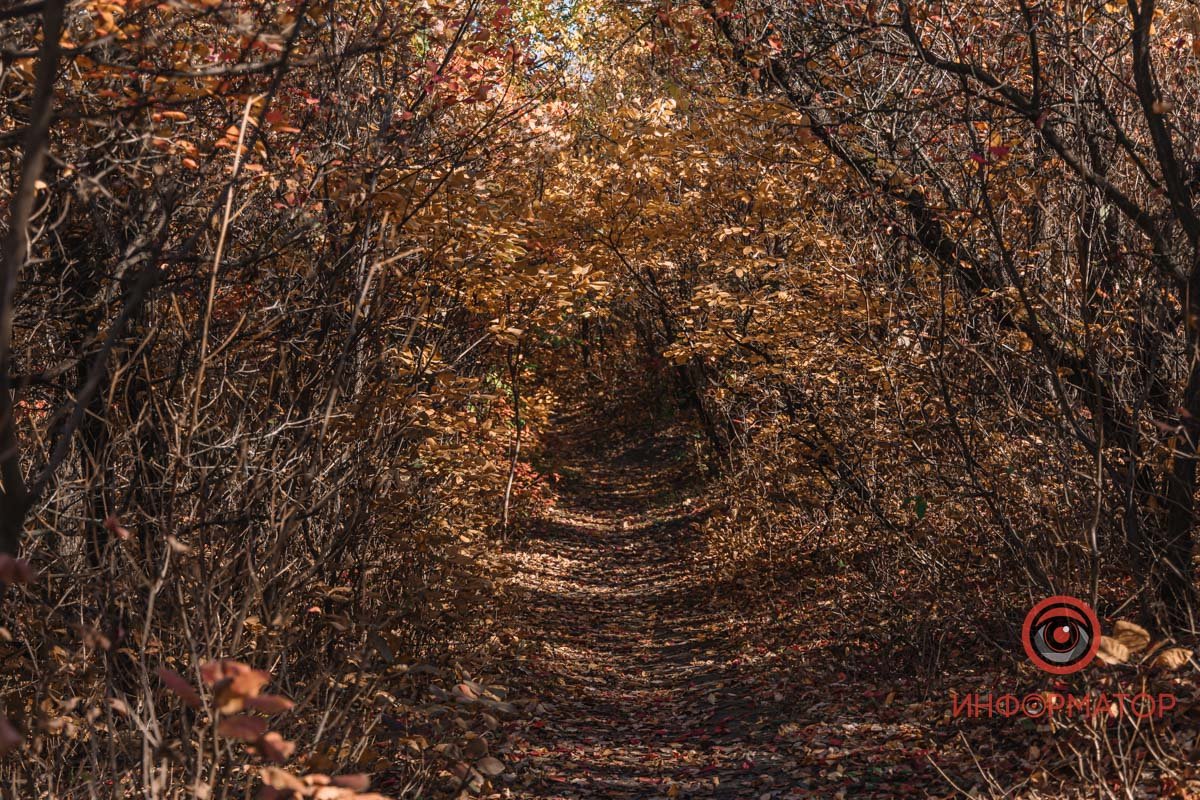 Сонечко радує нас Сонечко радує нас
