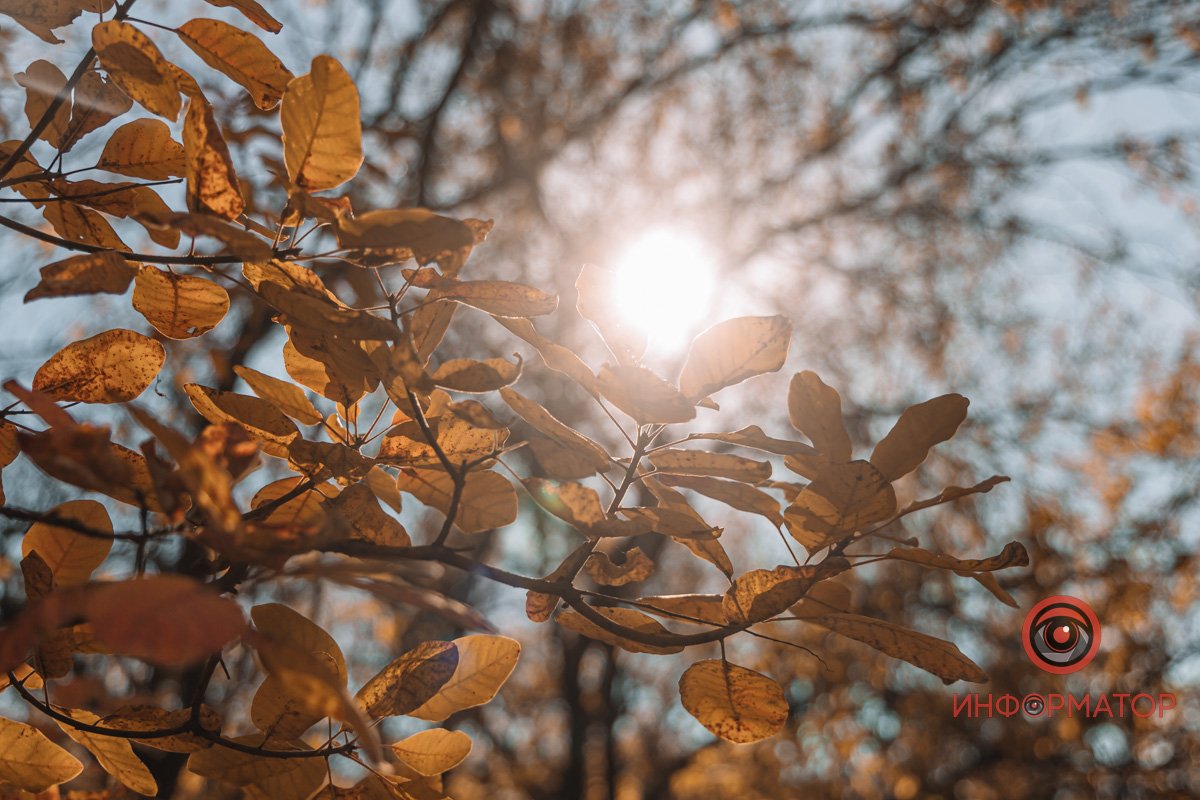 Золота пора Золота пора