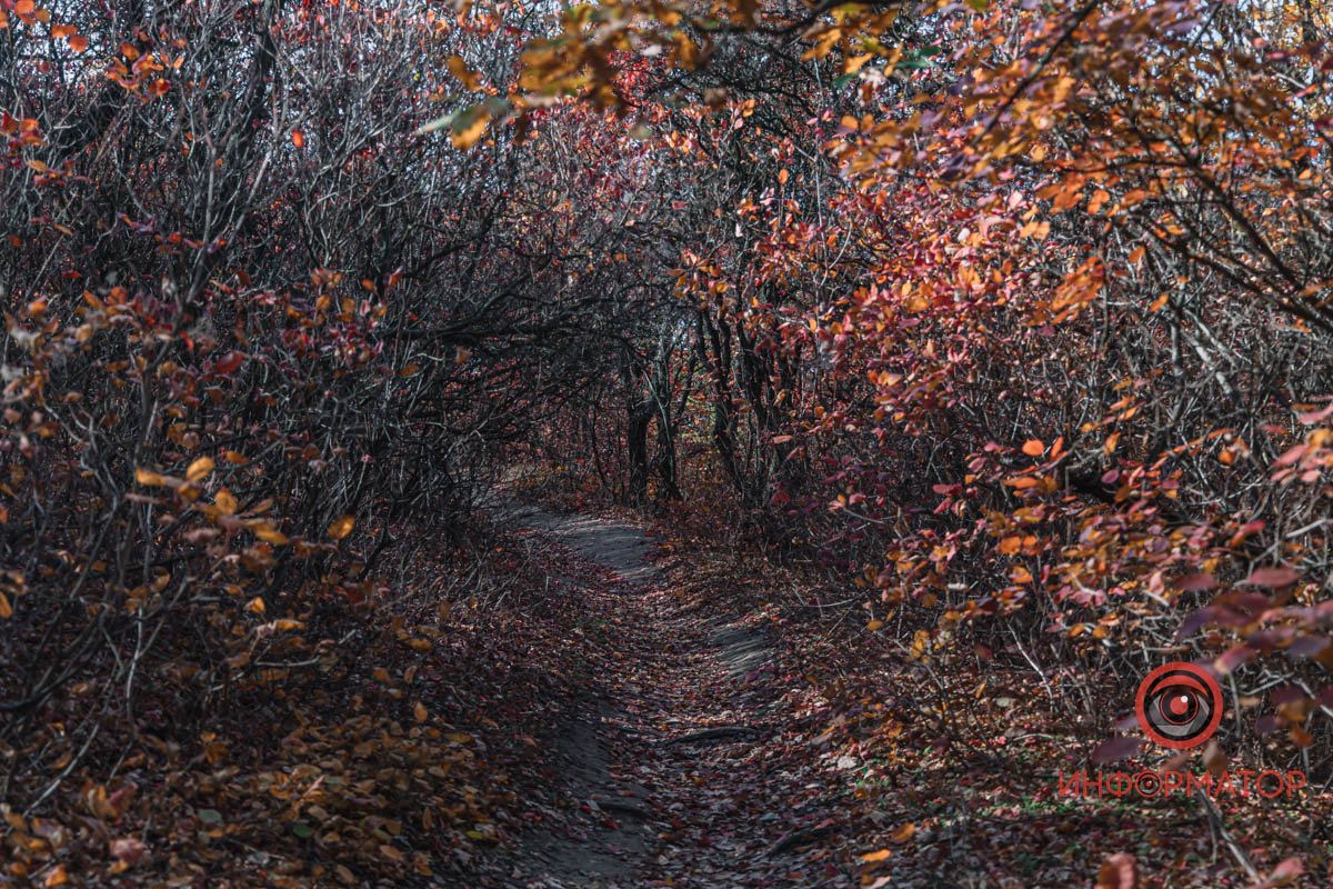 Похмурий час Похмурий час