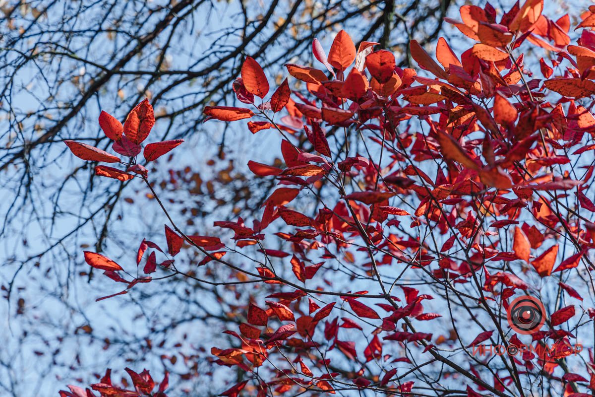 Прогуляйтесь осіннім містом Прогуляйтесь осіннім містом
