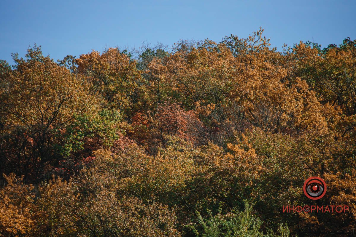 Полюбуйтеся чарівною погодою Полюбуйтеся чарівною погодою